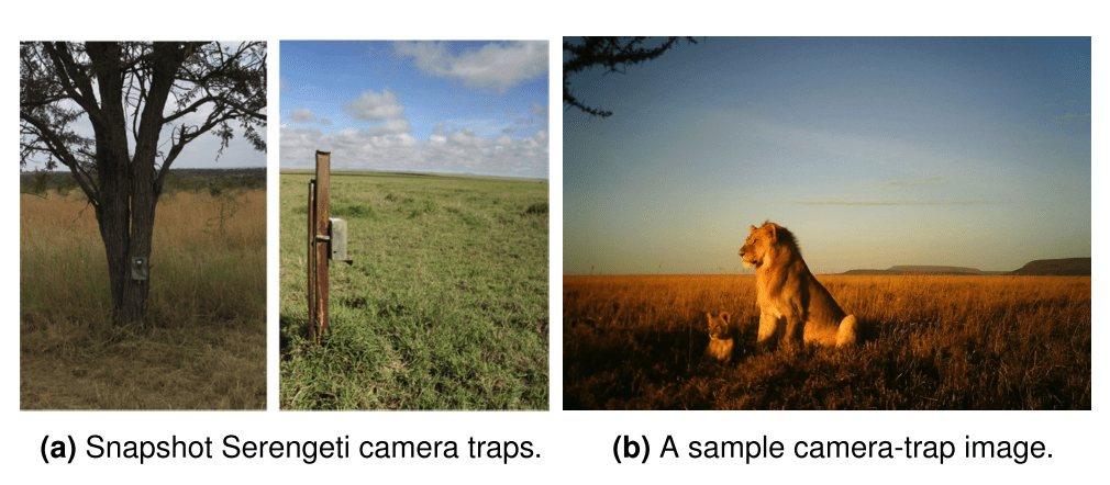 アフリカの野生動物の観測にDeep Learningを利用 – Automatically identifying wild animals in camera-trap images with deep learning